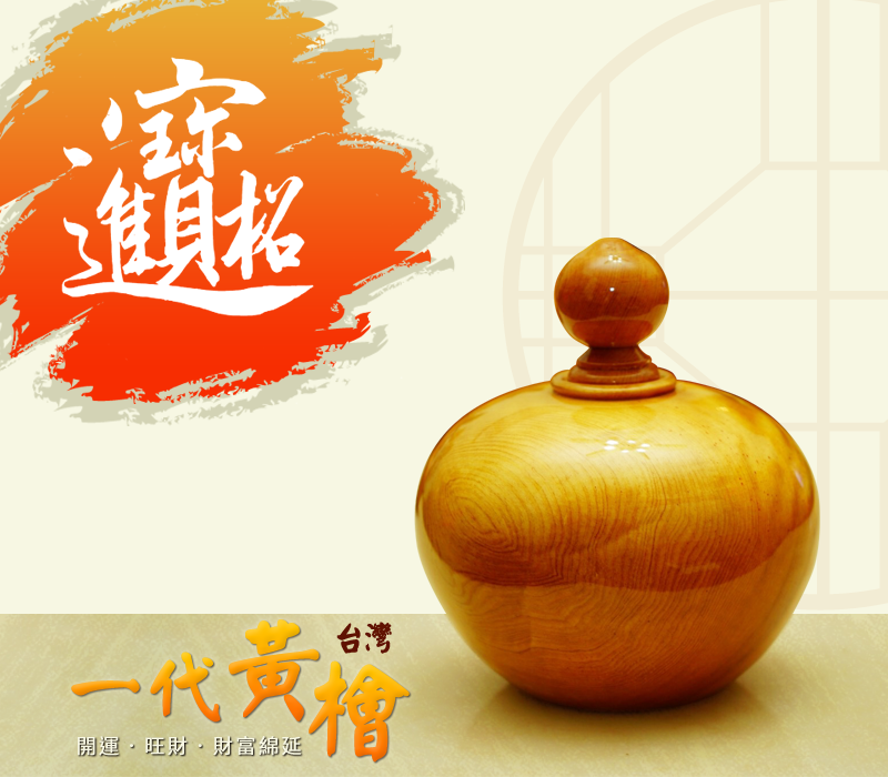 台灣一代黃檜-聚寶盆-寬13cm/高16cm