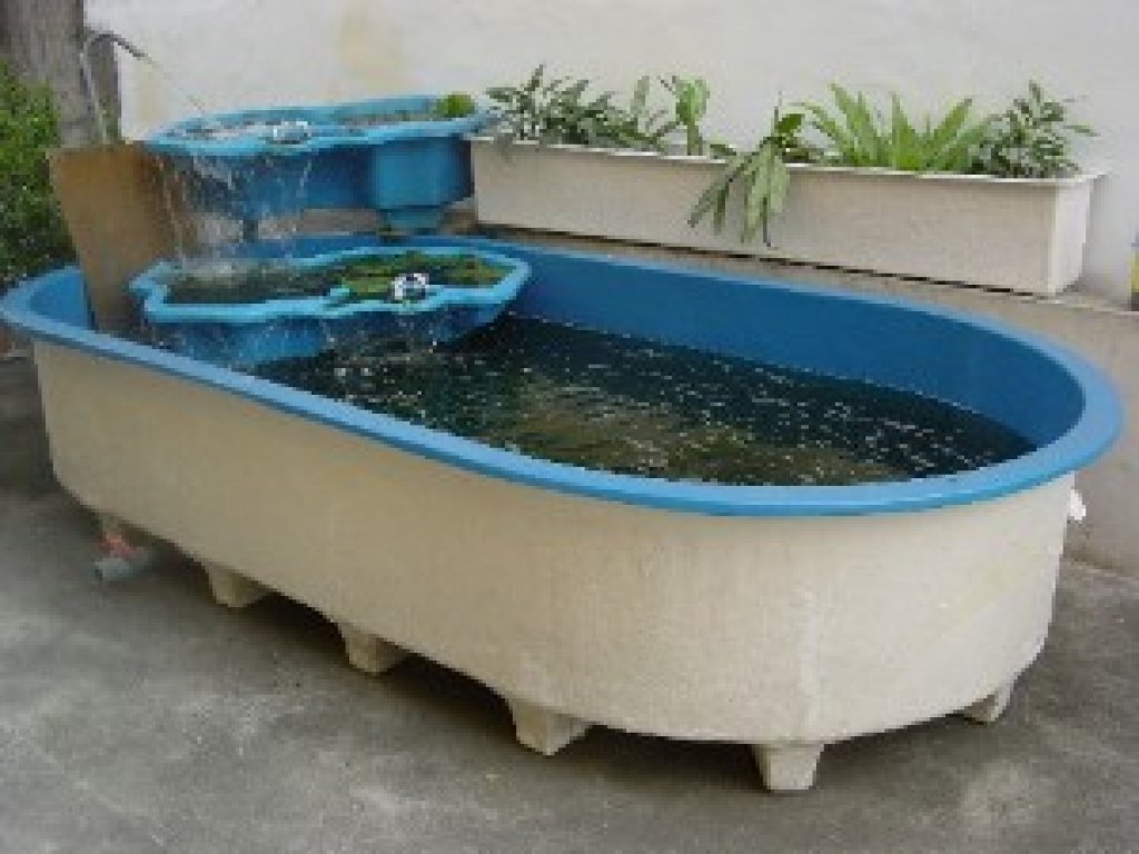 造型魚池