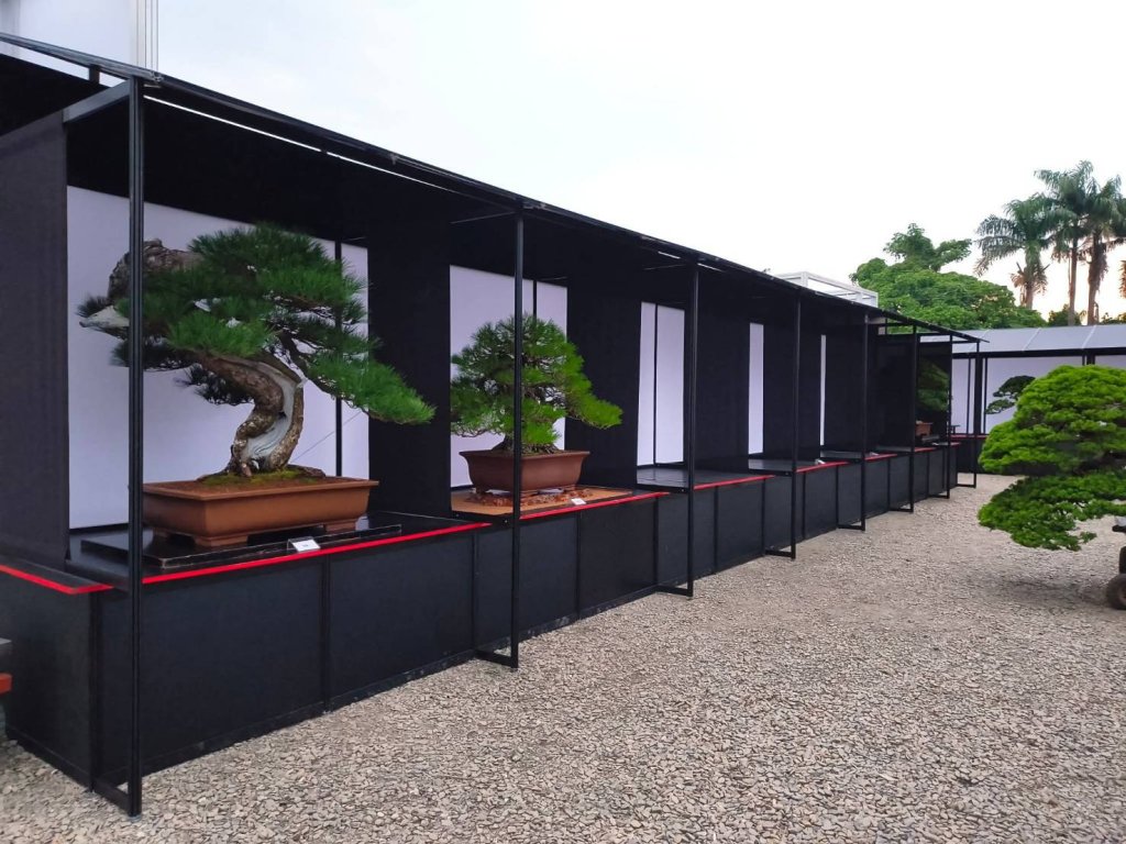 破億震撼！全球矚目世界盆栽展，紮紮實實47個國家外賓親臨來臺參與的盆景盛典就在彰化溪州萬景藝苑！