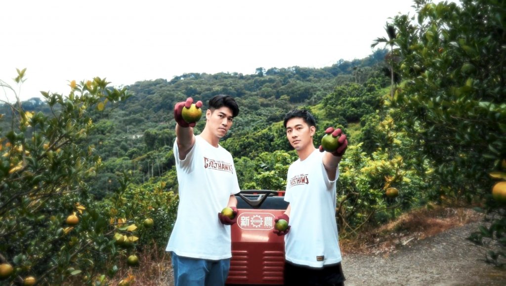臺南台鋼獵鷹力挺在地農產品　球員嚐青皮椪柑大讚「超甜！」