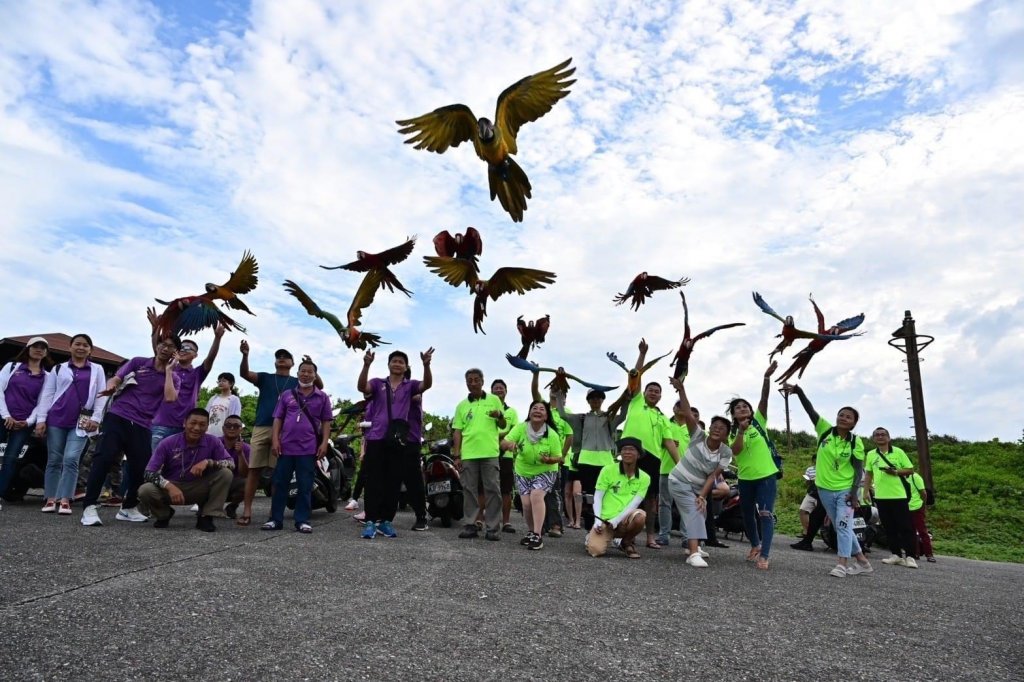 寵物鸚鵡綠島空中遨遊 百名鳥友交流飼養經驗