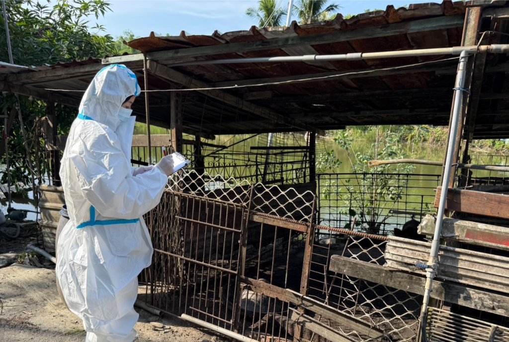 「非洲豬瘟威脅未歇 南市強化山區及平地養豬場防線」