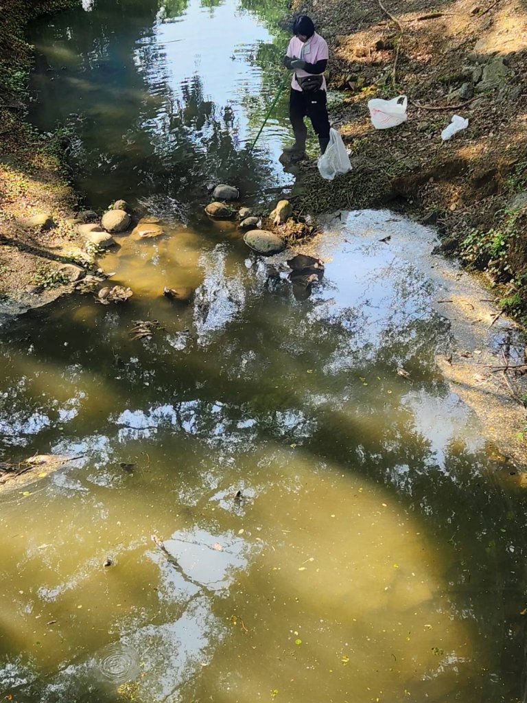 台南市巴克禮公園魚群突暴斃 傳出陣陣惡臭味管理人員忙清理