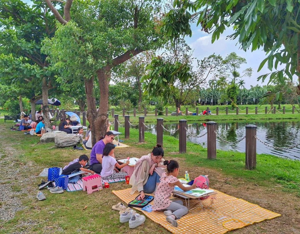 凌波仙子大爆發！水雉從 16 隻激增破百　屏東海豐濕地拿下全國優良獎