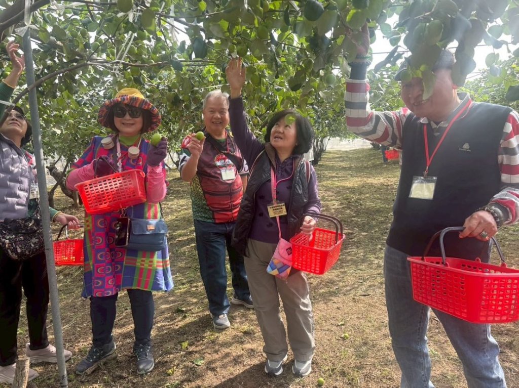 「梅」你不行 楠西賞花、採果、泡溫泉 等你來!