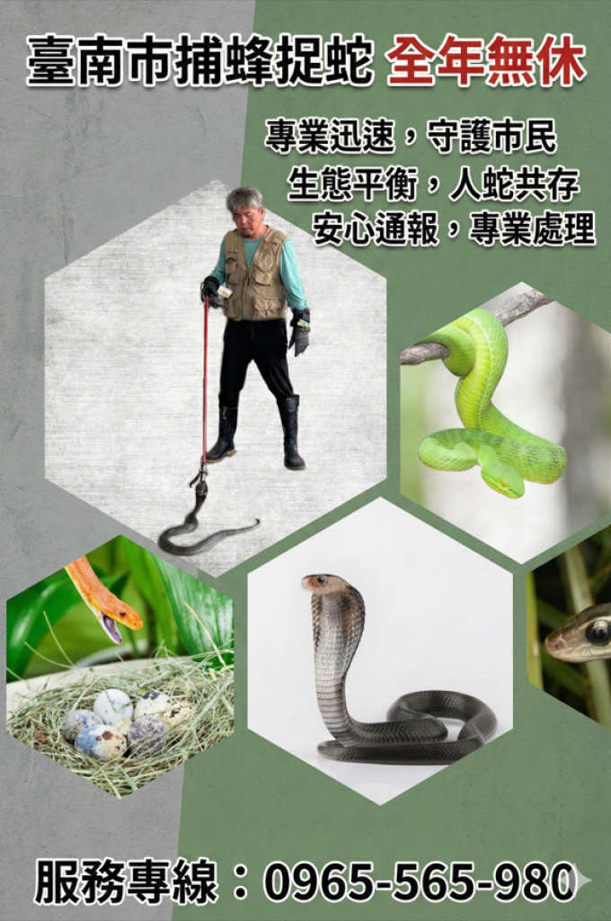 蜂蛇來襲也不怕    臺南市全年捕蜂捉蛇    全力守護市民生命安全