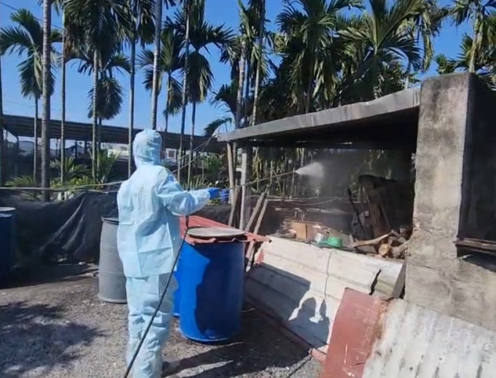 屏東再查獲違規餵飼廚餘　養豬場重罰40萬元落實防疫零容忍