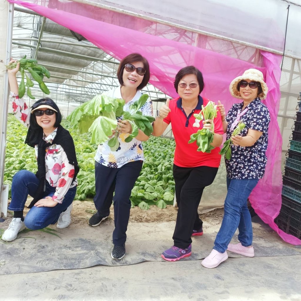 【默子-鄉居拾穗】同理心的有機農場