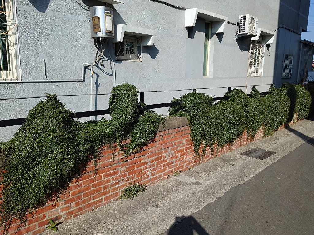 【默子-鄉居拾穗】雙龍搶珠