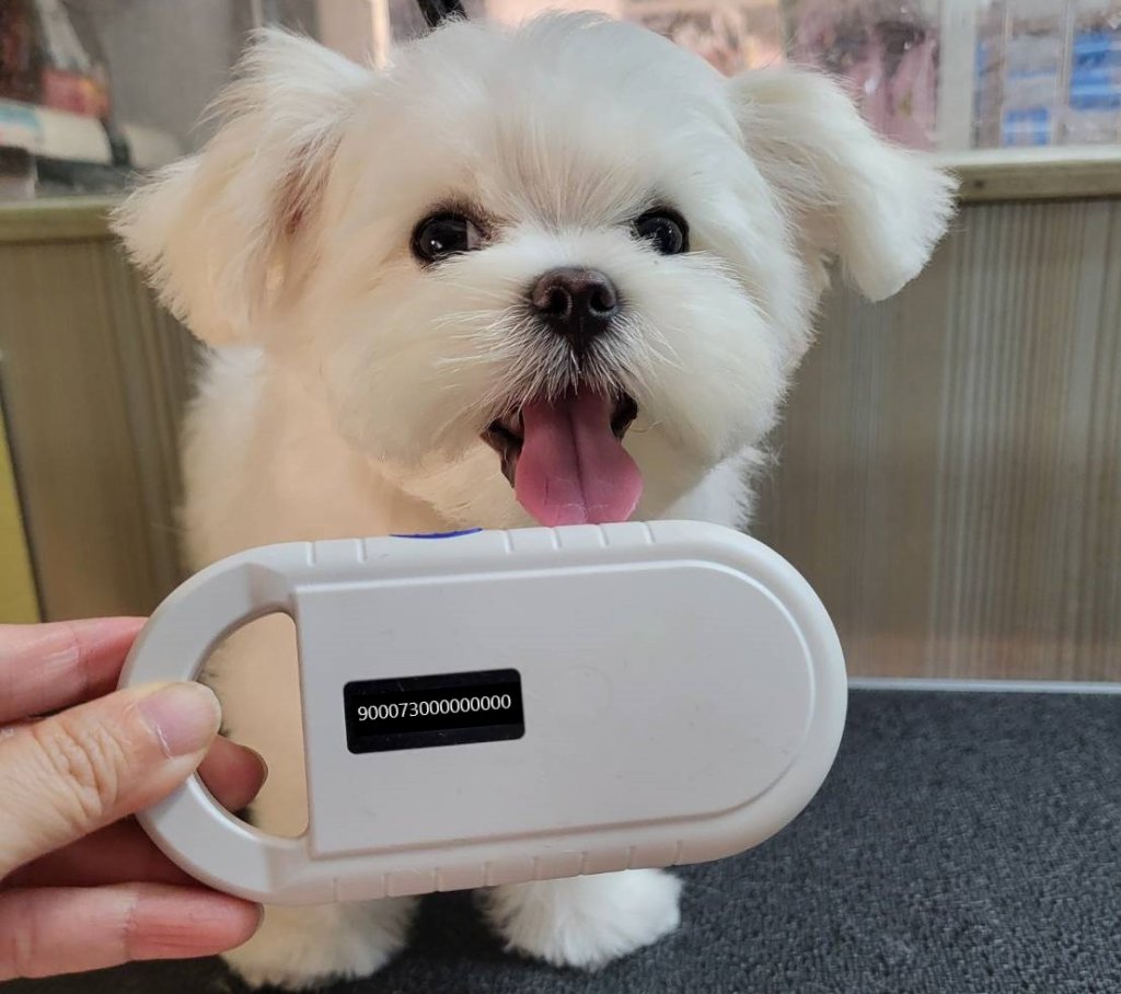 臺南市政府動物防疫保護處推犬貓絕育補助 6月起開放申請