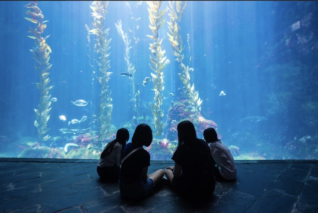 把海洋的聲音唱給你聽 海生館「海岸共聲」登場