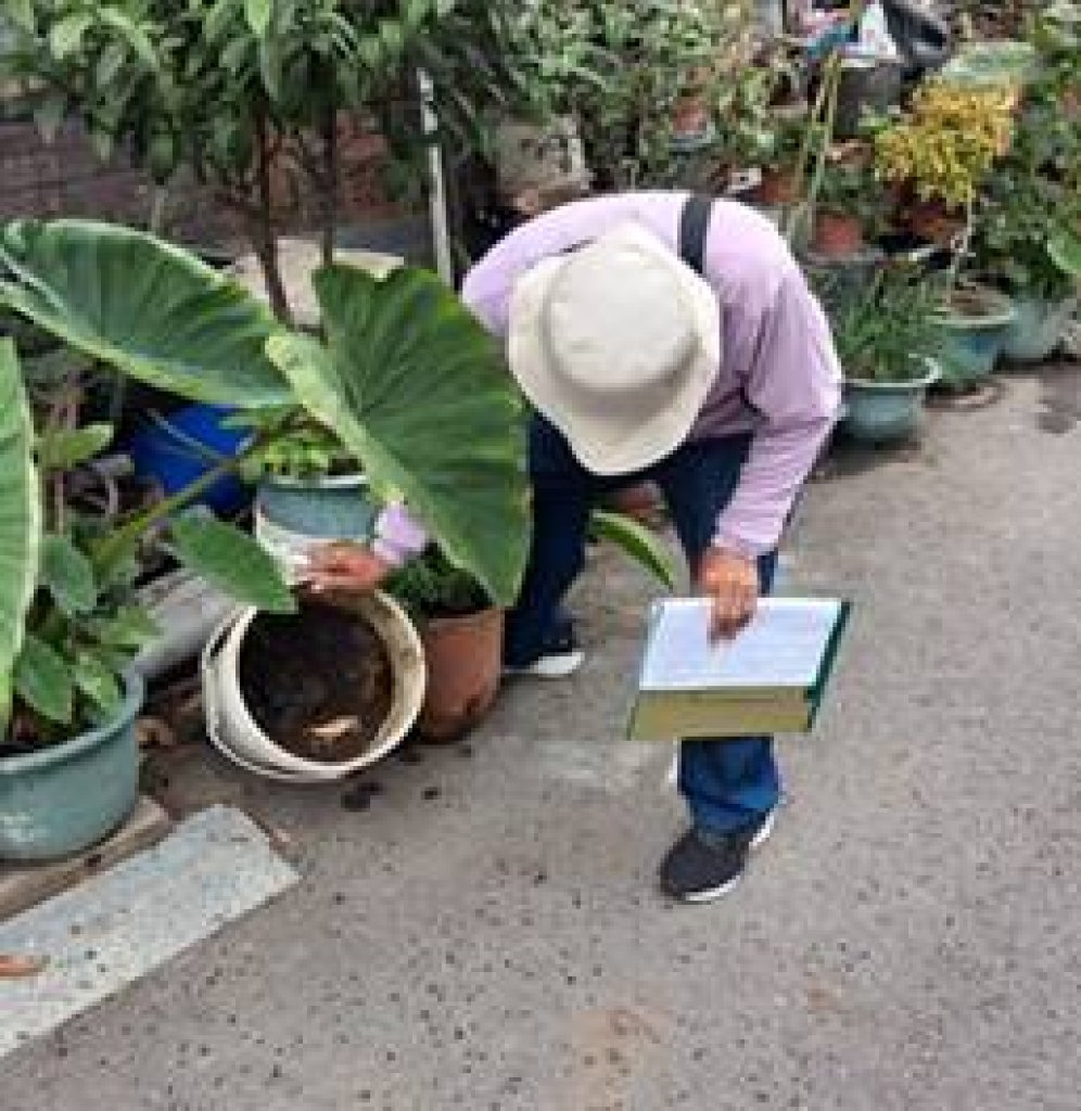 登革熱病媒蚊指數持續攀升，市長黃偉哲請市民務必防蚊及落實孳清工作！