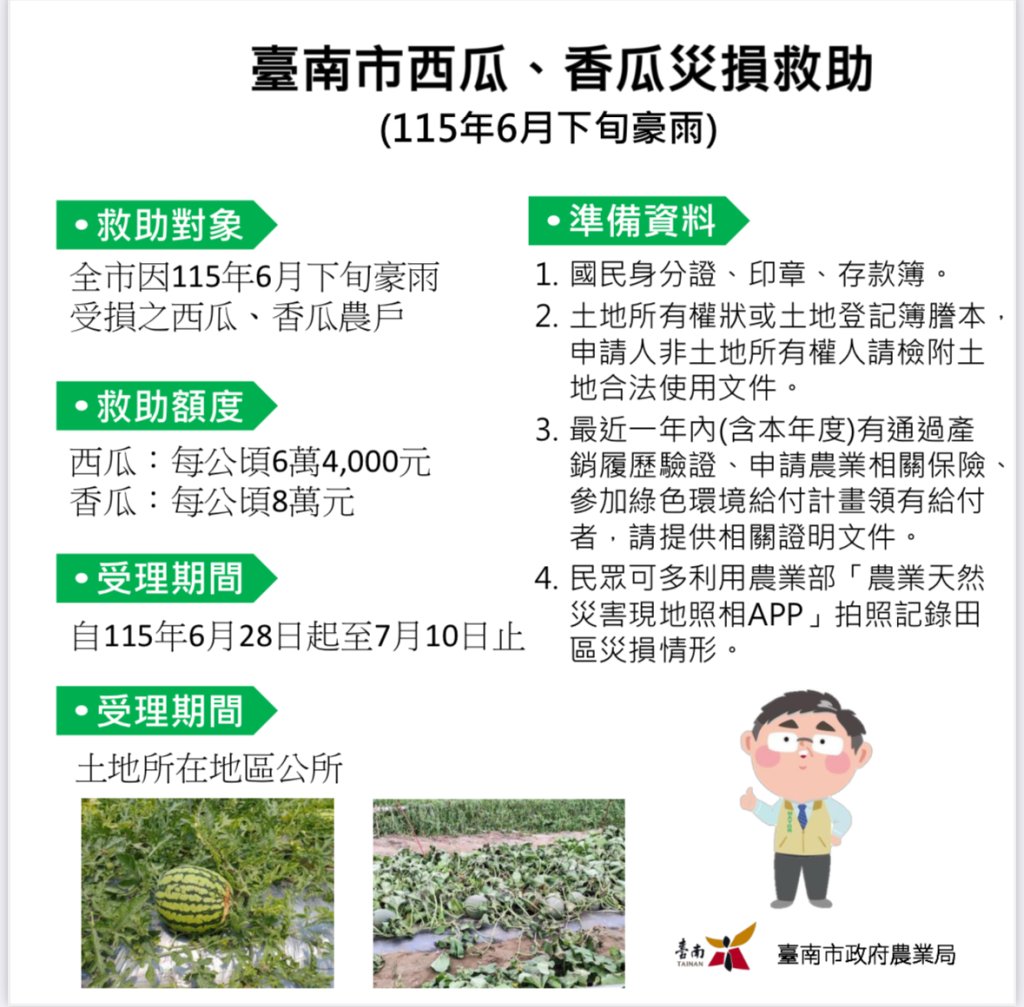 西瓜、香瓜農注意！臺南6/28起開放豪雨災損補助申請