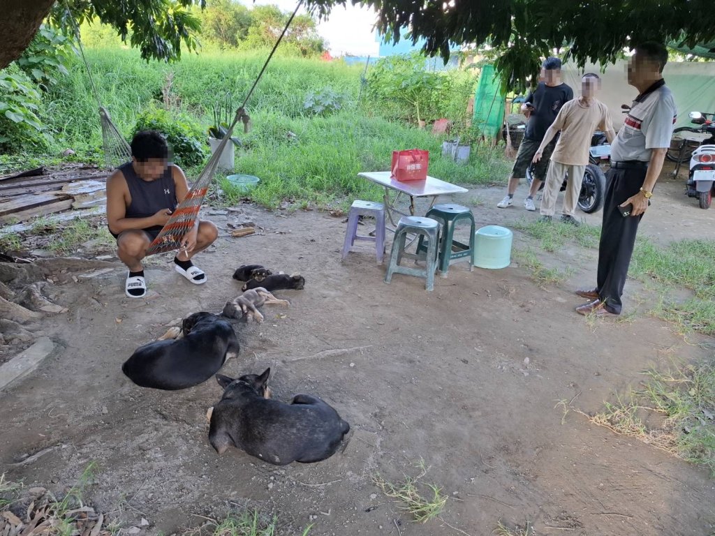 臺南安南區疑似宰殺犬隻案最新進展 動保處：可疑檢體初判非犬隻組織