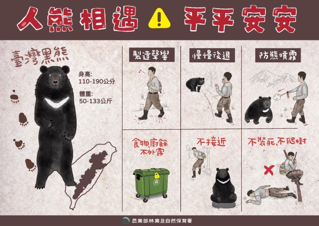 「熊」出沒！屏東三地門現臺灣黑熊 去年就來過