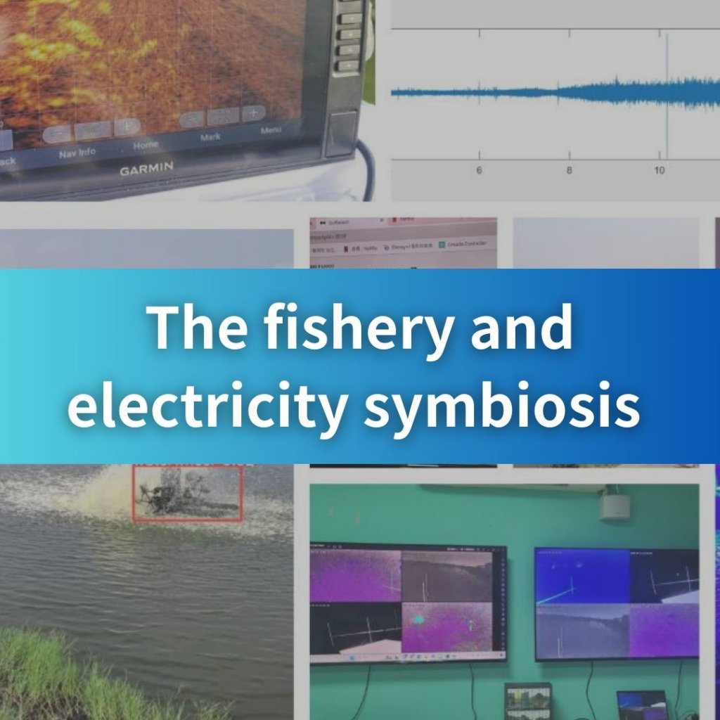 The fishery and electricity symbiosis 