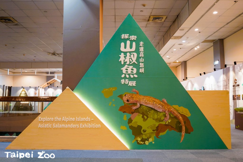 跨機構保育合作 揭開臺灣山椒魚面紗<大和傳媒>