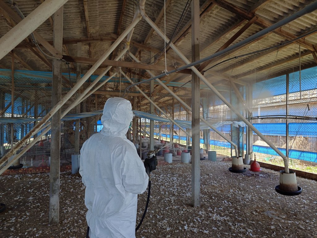 台南市土雞場檢出禽流感，動保處強化監控措施！ <大和傳媒>
