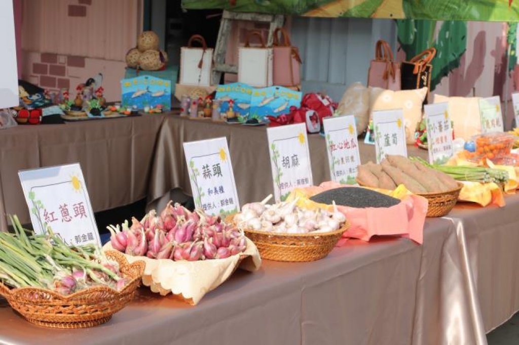 七股紅蔥頭產業文化活動今登場 黃偉哲邀民眾來場美味饗宴與農遊體驗<大和傳媒>
