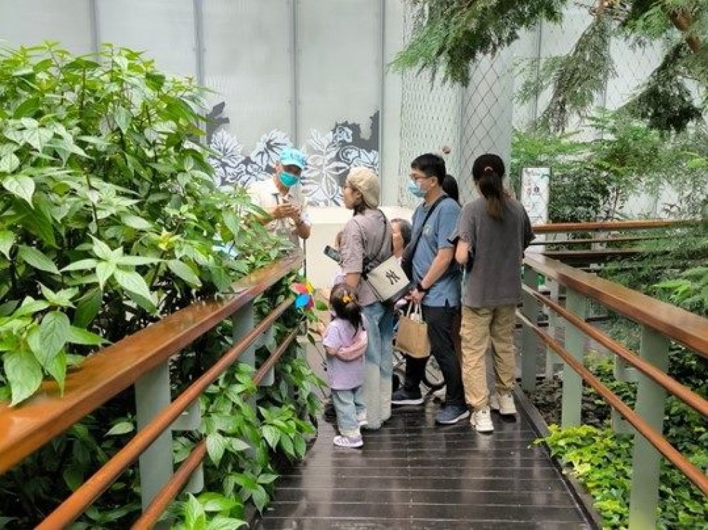 找找看！可愛吊鐘花就在典藏植物園<大和傳媒>