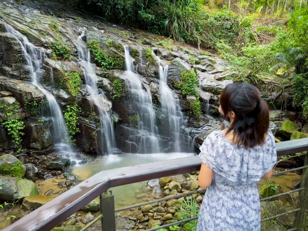 嘉義秋季限定「萬鷺朝鳳」，賞鳥旅遊提案推薦<大和傳媒>