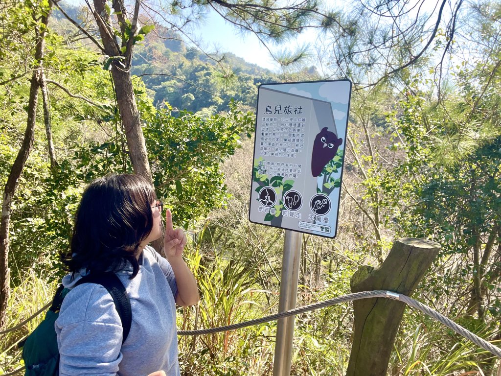 開箱台中大坑賞鳥秘境！中市觀旅局邀民眾探索3號鳥語步道<大和傳媒>