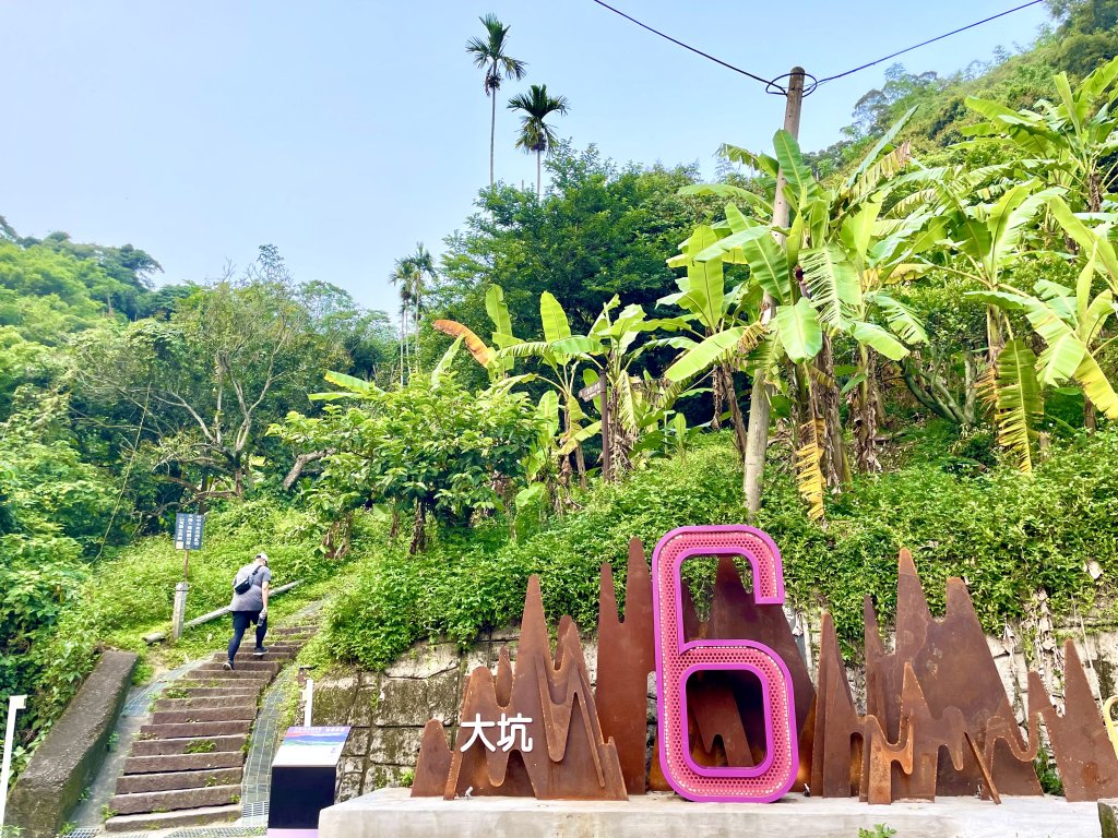 登仙境、賞生態、嚐美食！中市觀旅局邀民眾走進大坑6號仙境步道<大和傳媒>