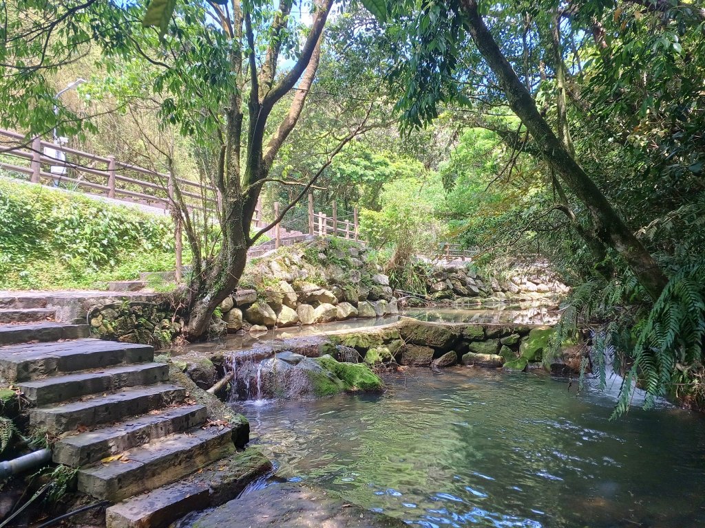 初夏賞花熱潮來襲！北投湖田邀您共賞花海與田園風情<大和傳媒>
