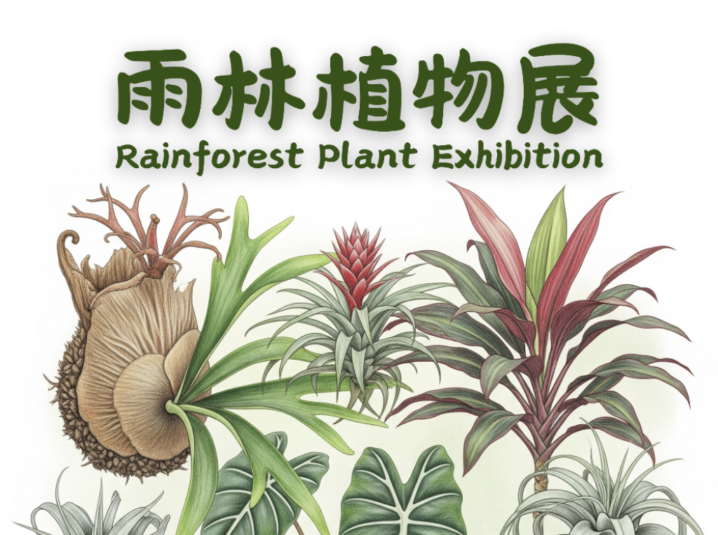 近距離賞雨林植物 士林官邸新蘭亭奇幻探險<大和傳媒>