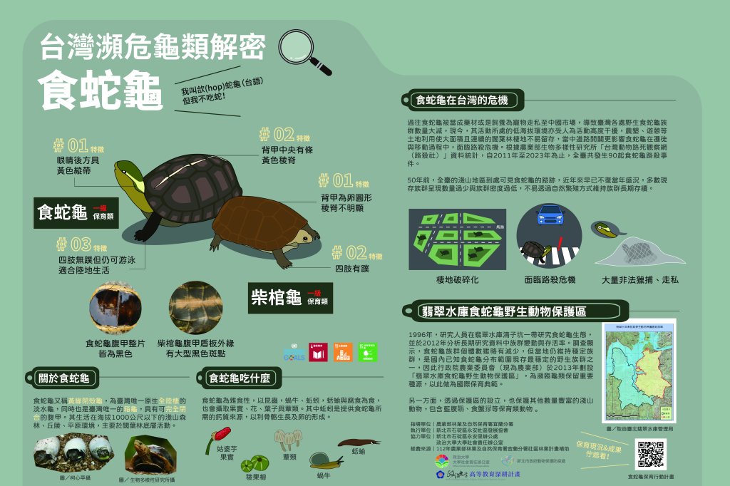 新北市動保處攜手石碇永安里辦公處守護食蛇龜生態<大和傳媒>