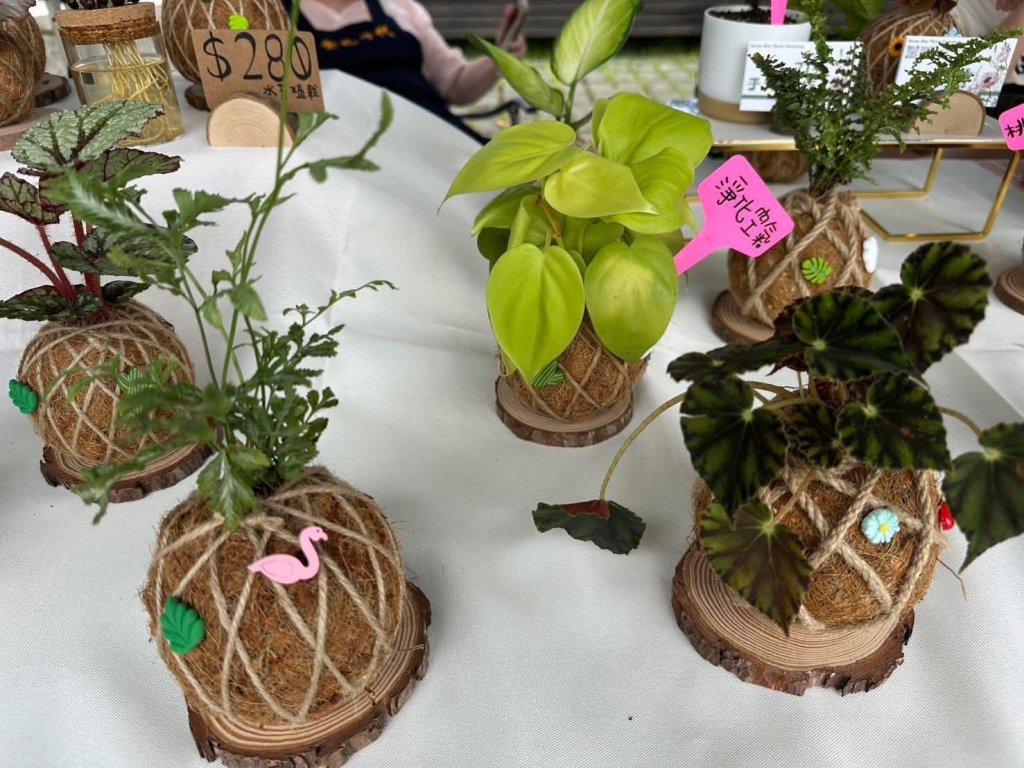 植愈蒔光節7月5日淡水登場 42綠植攤位療癒人心<大和傳媒>