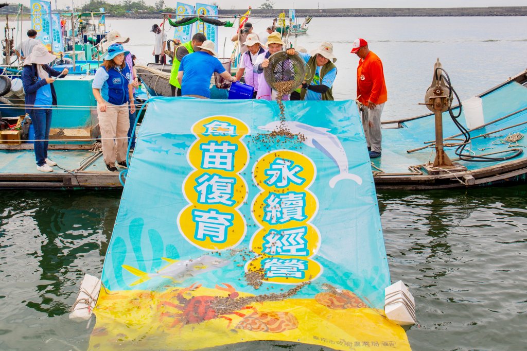 魚苗復育安平，南市區漁會船隊打造永續海洋環境<大和傳媒>