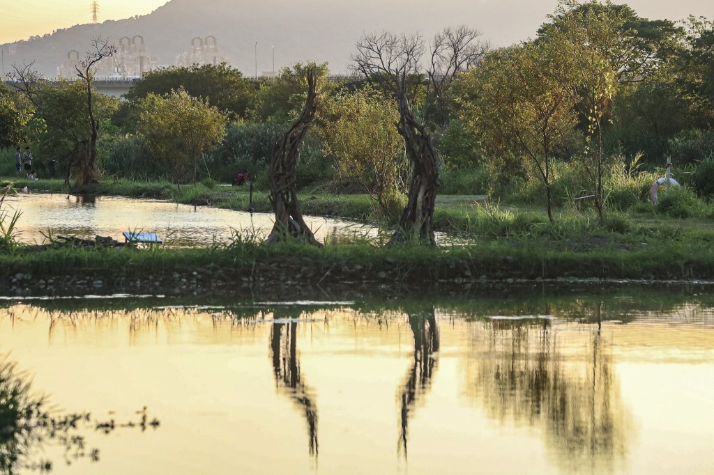 濕地變身自然美術館!秋日最夯打卡點就在「新北濕地藝術季」<大和傳媒>