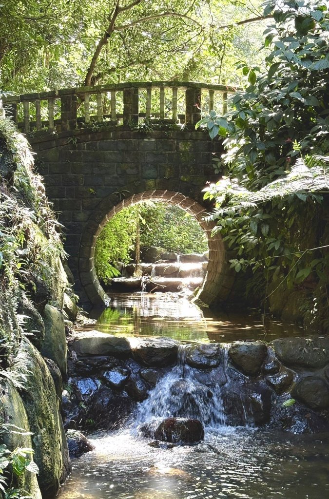 秋日雅行，首選虎山溪 享受深層慢活時光<大和傳媒>