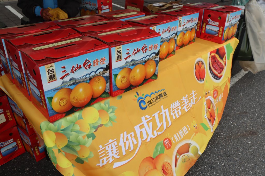 台東「三仙台臍橙節」登場！推廣優質臍橙結合在地觀光 展現多重魅力<大和傳媒>