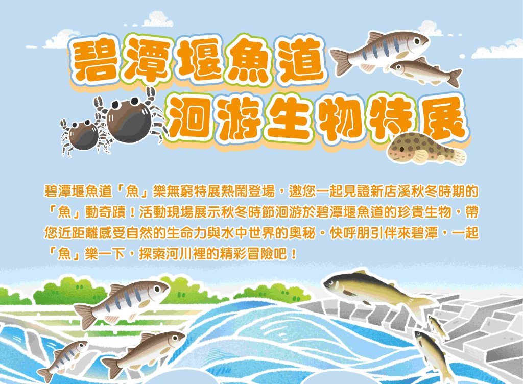 碧潭堰「魚」你相遇！12/13-12/14限時特展探索新店溪生態奧秘<大和傳媒>