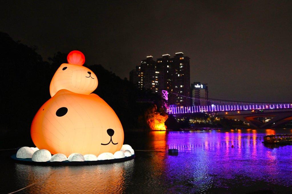 「呆在碧潭の水「呆在碧潭の水豚君」陪你過冬 把握最後療癒時光豚君」陪你過冬 把握最後療癒時光<大和傳媒>