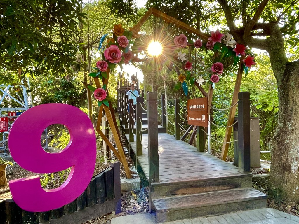 走進山林讀愛情！大坑9號、9-1號步道打造聖誕限定「愛戀步道」<大和傳媒>