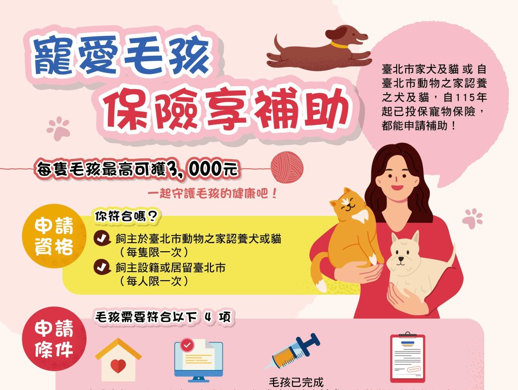 臺北市毛孩福利再升級 115年加碼補助家犬貓絕育及寵物保險<大和傳媒>