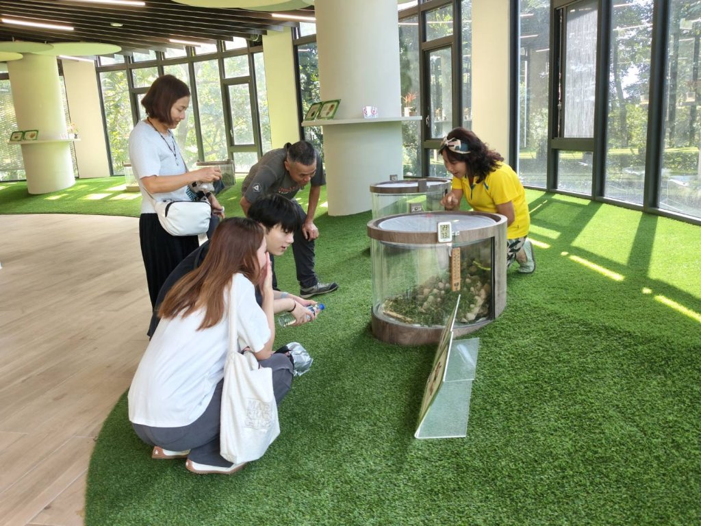 虎頭埤蟋蟀館轉型為親子環教館　假日提供志工深度解說與智慧互動新體驗<大和傳媒>