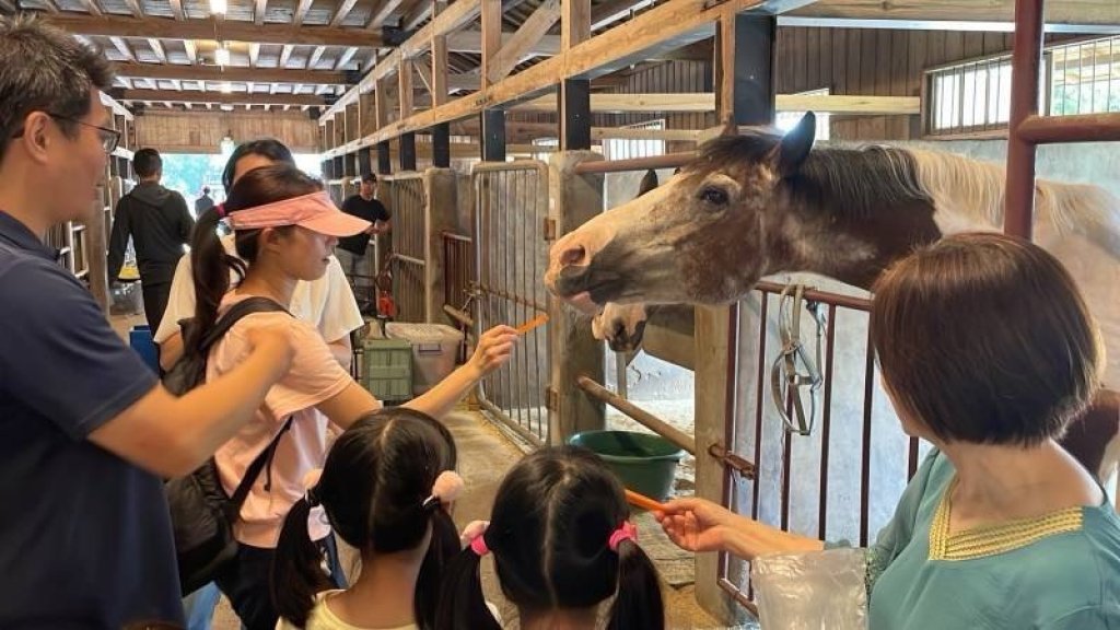 馬年走春 逛后里馬場賞櫻花、騎鐵馬迎新年<大和傳媒>