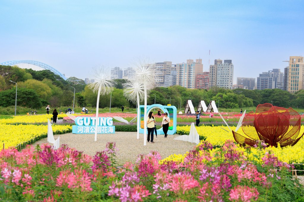 24萬株花草打造台版普羅旺斯 古亭河濱花海繽紛盛開 搶攻228連假最美打卡點<大和傳媒>
