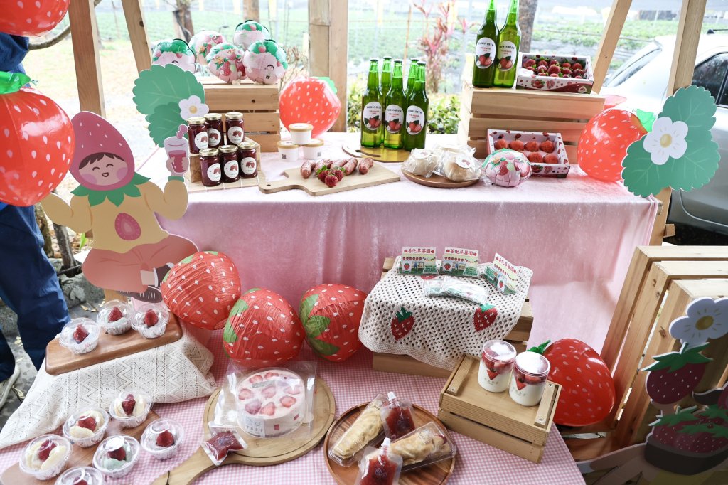 善化草莓季「莓好生活節」3/7甜蜜登場　黃偉哲邀全民體驗春日限定好滋味<大和傳媒>