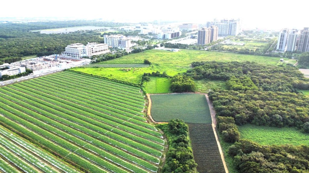 南市府主動撤回沙崙農場國土功能分區調整，期共同達成產業與保育最適當的平衡<大和傳媒>