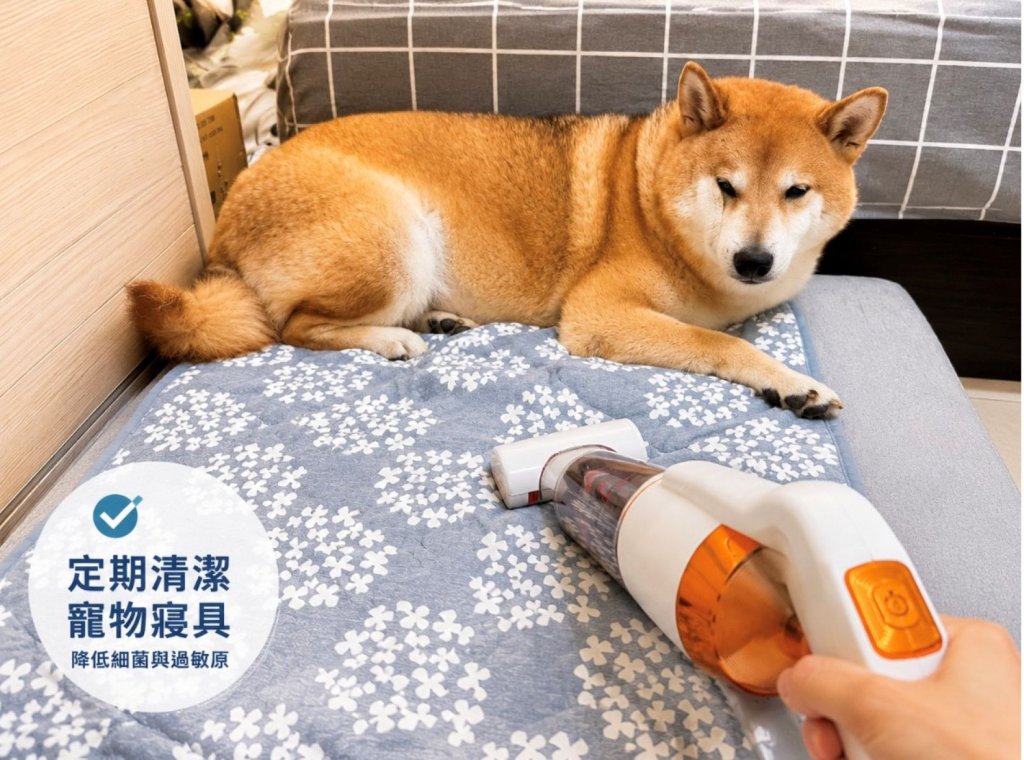 「芒種」濕熱易發皮膚病！新北動保處教您三招防護<大和傳媒>