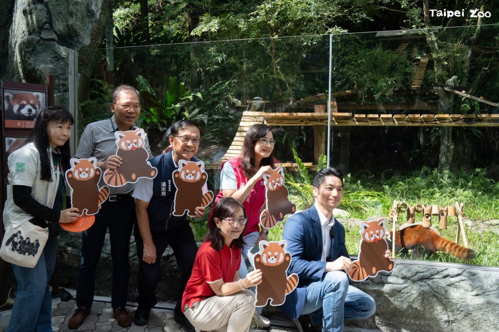 小貓熊「甜甜」、「樂樂」首亮相！ 蔣萬安邀大小朋友遊動物園<大和傳媒>