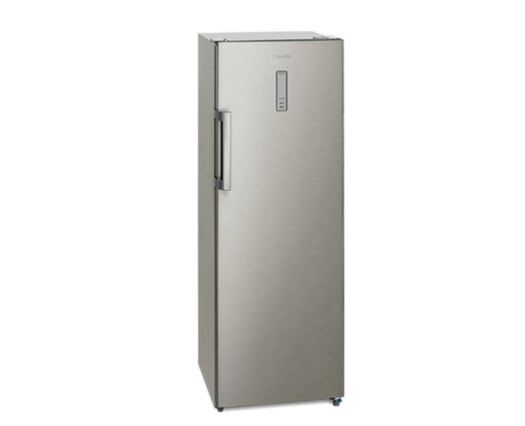【國際PANASONIC】直立式冷凍櫃 NR-FZ250A-S