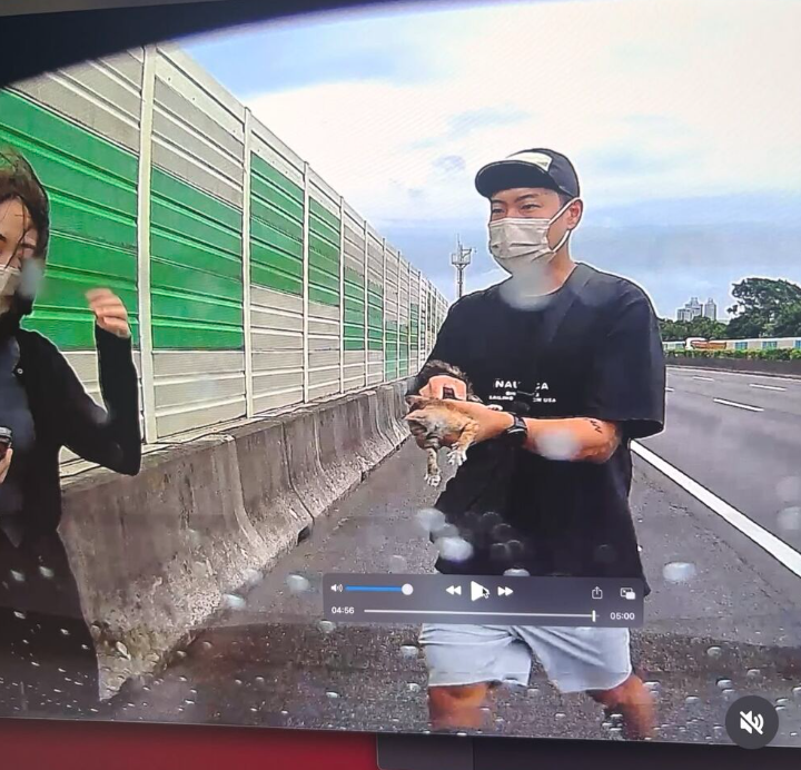 玖壹壹洋蔥在國道路肩上救了一隻小貓。(圖/翻攝玖壹壹洋蔥IG)