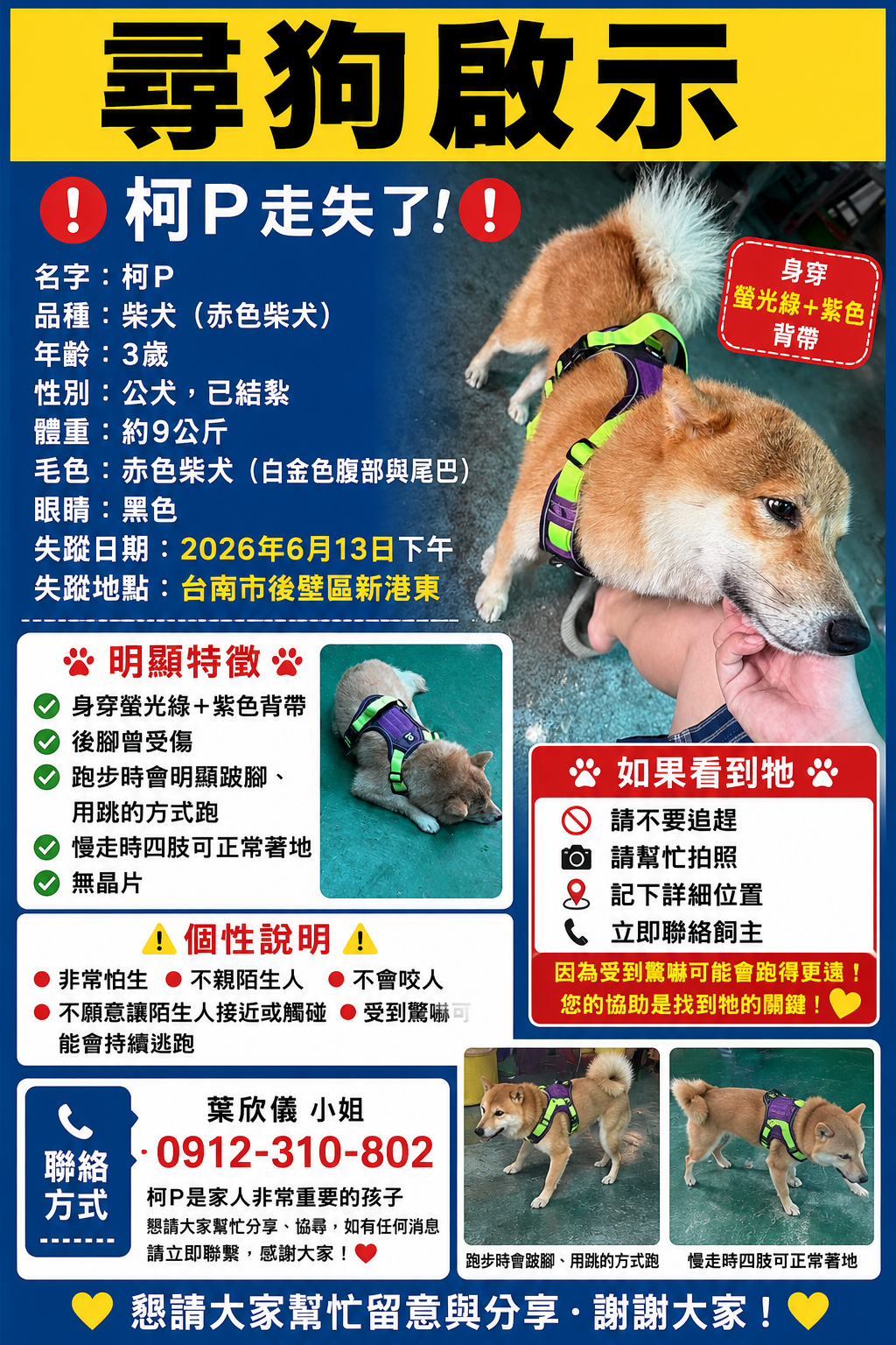 台南赤柴「柯P」後壁區走失12天 飼主懸賞盼愛犬平安歸來