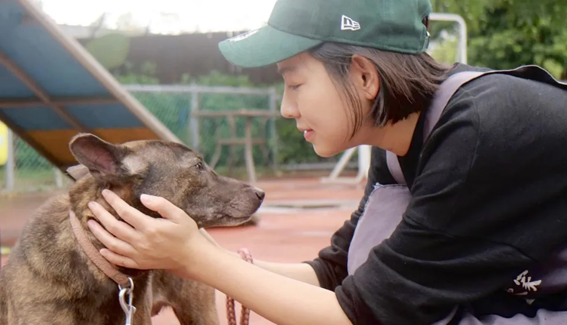 米可白長期關注流浪動物，近日為毛孩發聲痛批鍾東錦。（圖／翻攝米可白臉書）